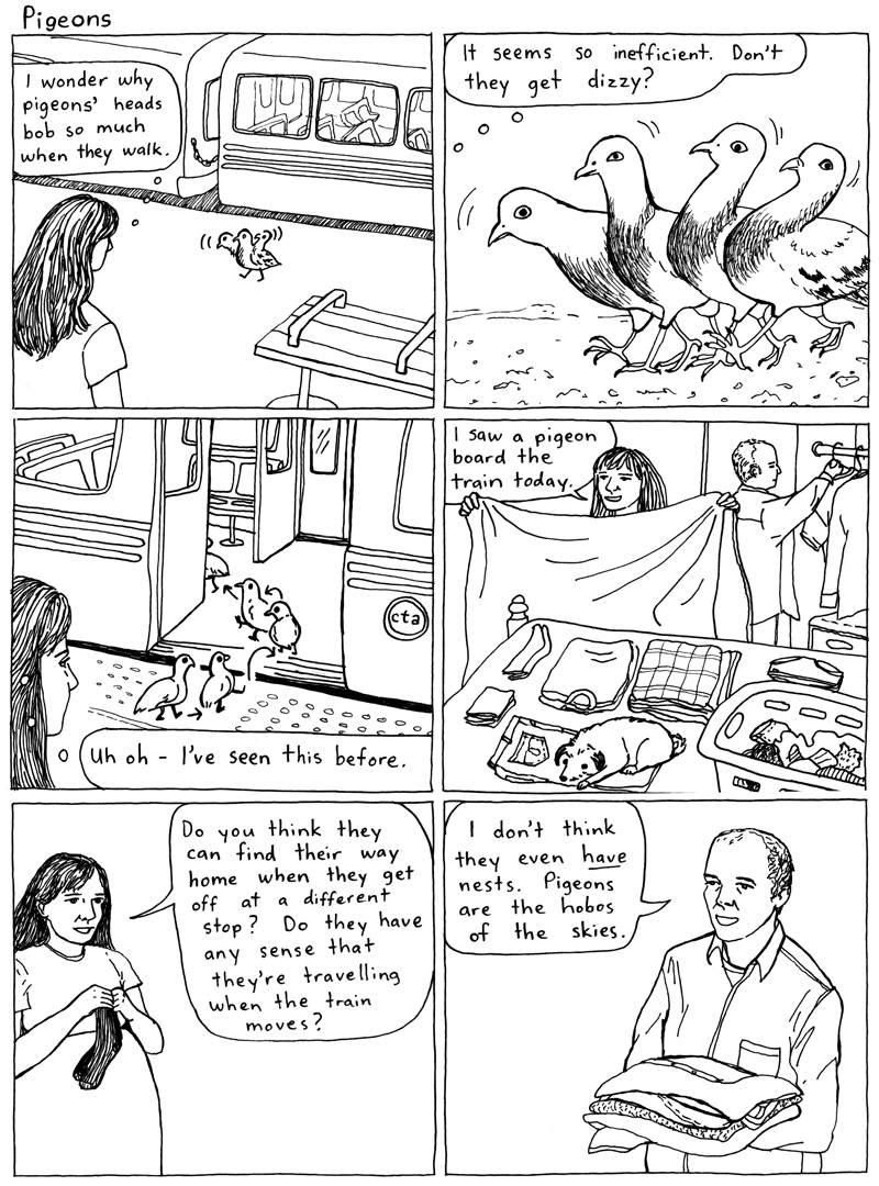 pigeons