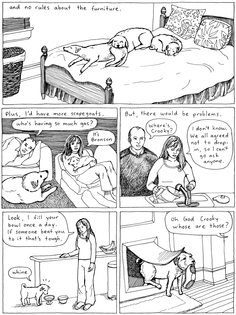 pm2page12DogDoors2