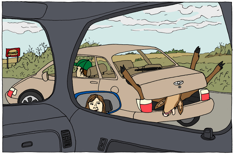 deer in trunk
