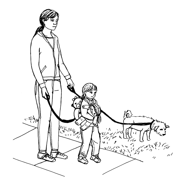 leashes